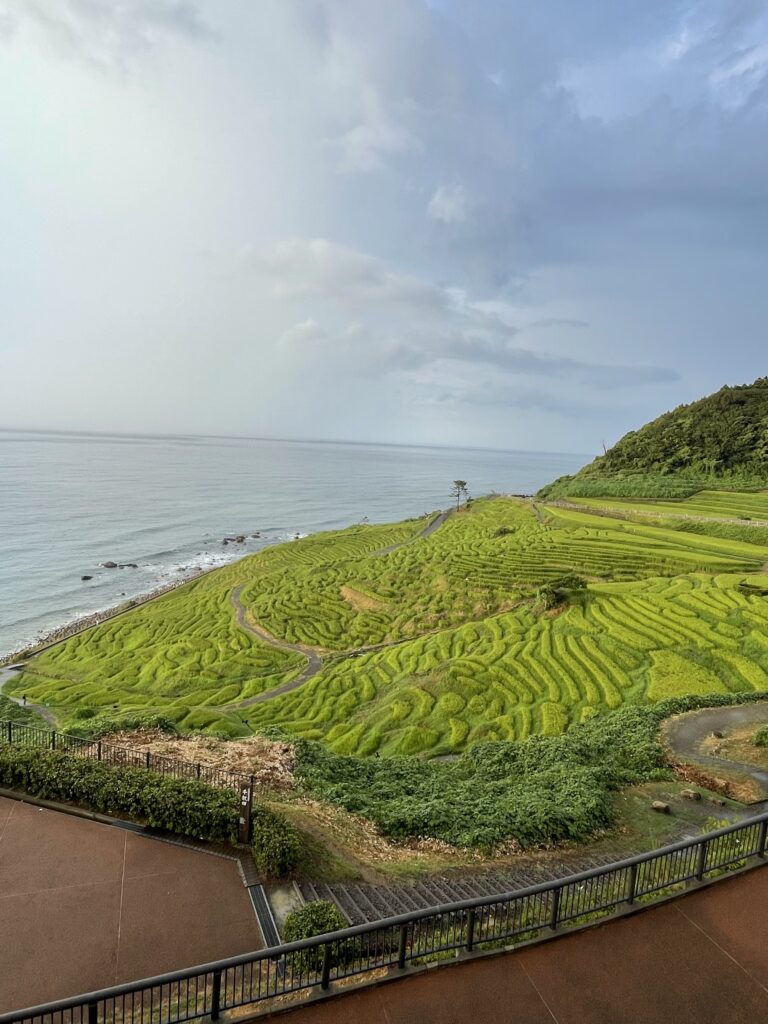 能登の千枚田と海を撮影した、地震前の美しい景色のアイキャッチ画像